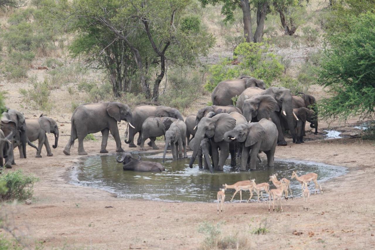 Makumu Private Game Lodge Частный заповедник Класери Экстерьер фото