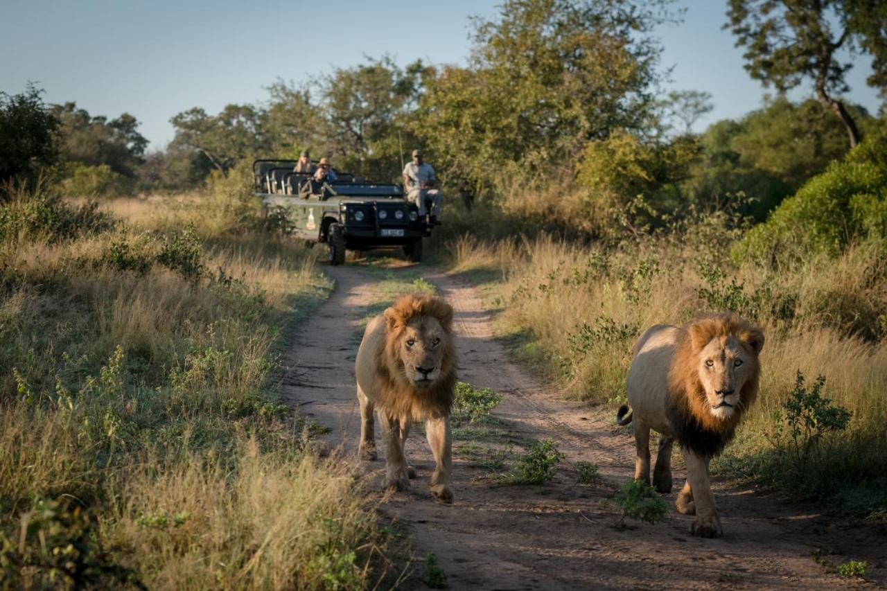 Makumu Private Game Lodge Частный заповедник Класери Экстерьер фото