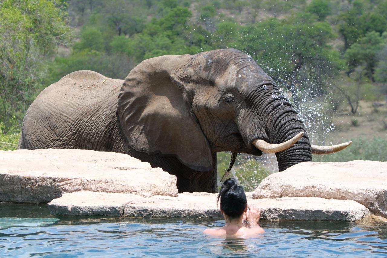 Makumu Private Game Lodge Частный заповедник Класери Экстерьер фото