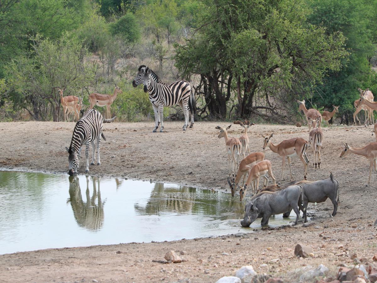 Makumu Private Game Lodge Частный заповедник Класери Экстерьер фото